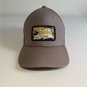 Patagonia Taupe Cap with Logo Patch
